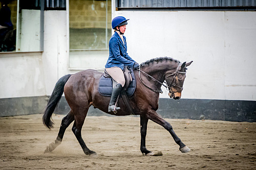  Redhorse Dressage at Willow Farm (QP2311) 