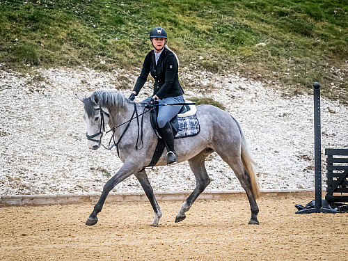 Breach Barn Showjumping (QP2308) 