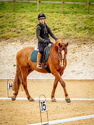  Breach Barn Dressage (QP2304) 