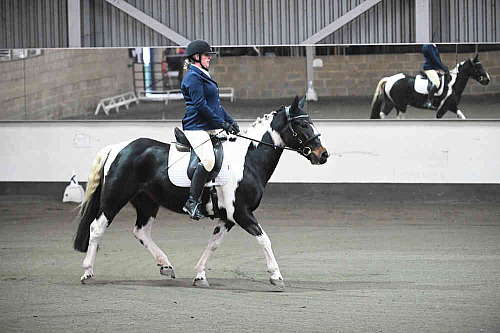  Redhorse Dressage at Willow Farm (QP2305) 