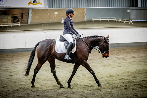 Redhorse Dressage at Willow Farm (QP2313) 