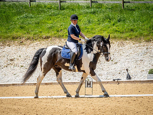 Breach Barn Dressage (QP2321) 