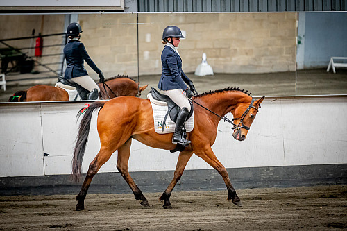 Redhorse Dressage at Willow Farm (QP2322) 