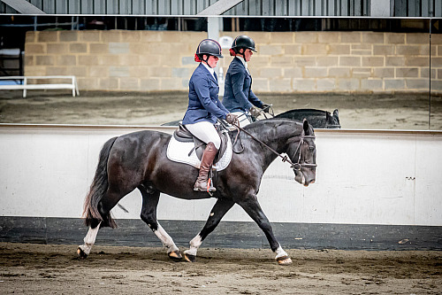 Redhorse Dressage at Willow Farm (QP2324) 