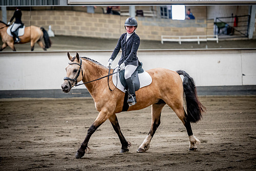 Redhorse Dressage at Willow Farm (QP2331) 