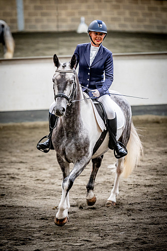 Redhorse Championship Dressage at Willow Farm (QP2336) 