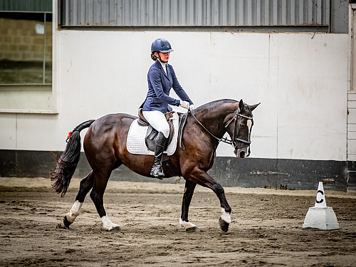 Redhorse Championship Dressage at Willow Farm (QP2337) 