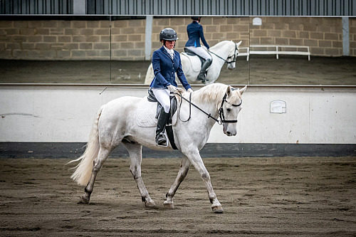 Redhorse Dressage at Willow Farm (QP2340) 