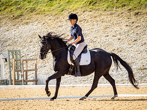 Breach Barn Dressage (QP2342) 