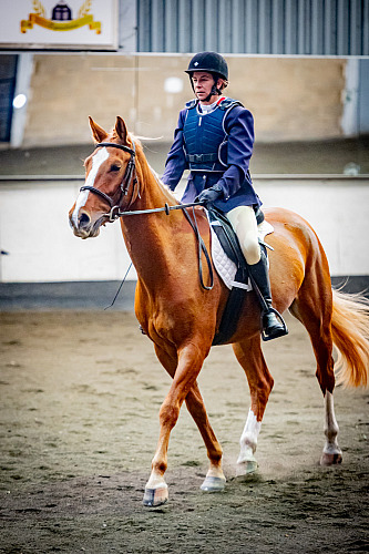 Redhorse Dressage at Willow Farm (QP2343) 