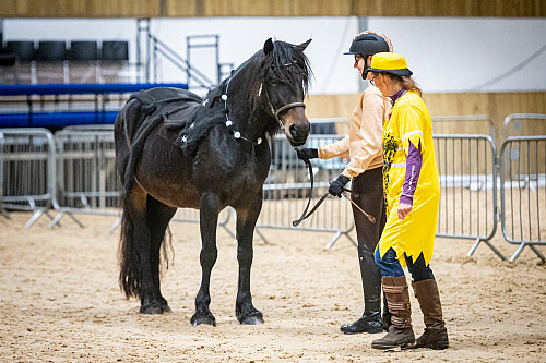  Colette's Showing at White Horse Farm (QP2345) 