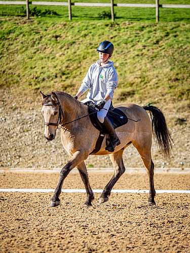 Breach Barn Dressage (QP2347) 