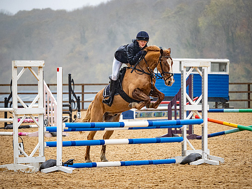 Breach Barn Showjumping (QP2348) 