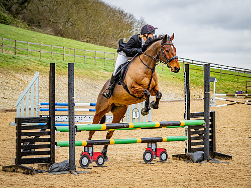 Breach Barn Showjumping (QP2353) 