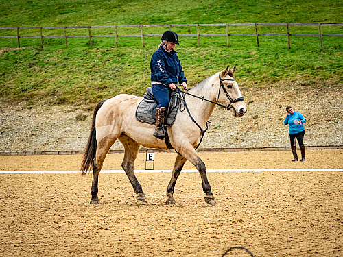 Breach Barn Dressage (QP2351) 