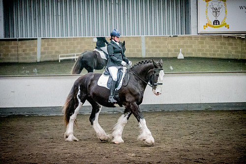 Redhorse Dressage at Willow Farm (QP2401) 