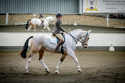 Redhorse Dressage at Willow Farm (QP2402) 