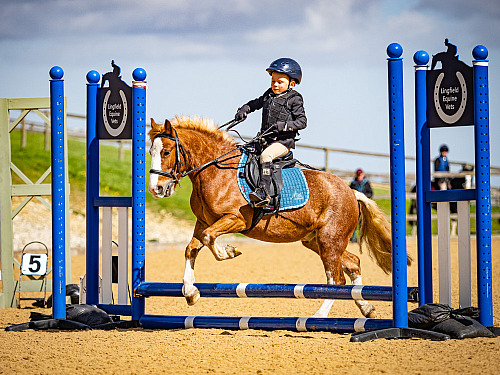 Breach Barn Clear Round Jumping (QP2410) 