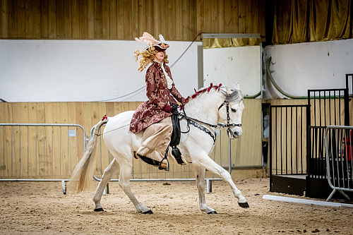 Colette's Showing at White Horse Farm (QP2409) 