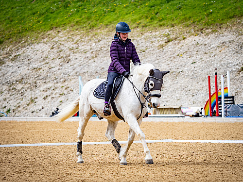 Breach Barn Dressage (QP2412) 