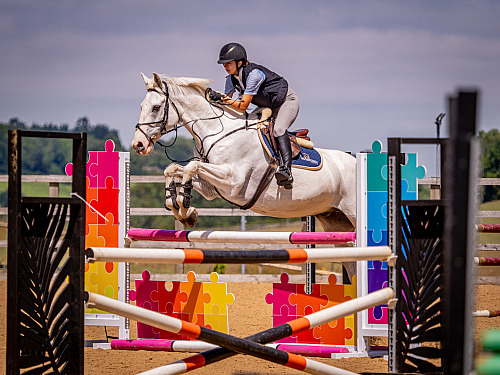 Breach Barn Showjumping (QP2532) 