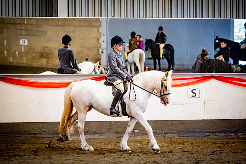 QP2603 Colette's at Willow Farm 2026-02-08 