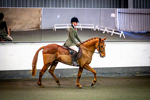 QP2604 Redhorse Dressage at Willow Farm 2026-02-15 