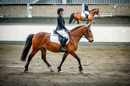 QP2613 Redhorse Dressage at Willow Farm 2026-04-26